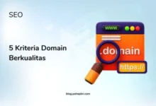 5 Kriteria Domain Berkualitas