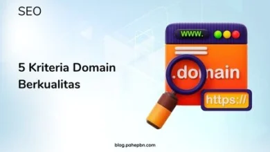 5 Kriteria Domain Berkualitas