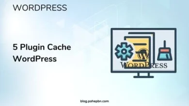 5 Plugin Cache WordPress