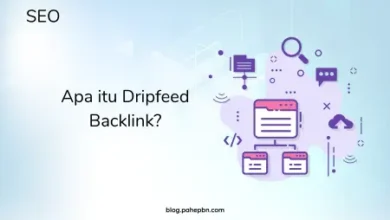 Apa itu Dripfeed Backlink